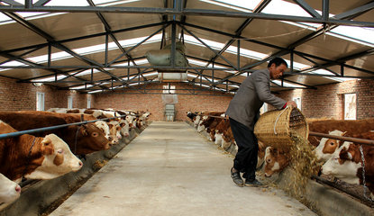 【走進(jìn)“三農(nóng)”】張家川五大產(chǎn)業(yè)齊并進(jìn)（三）畜牧設(shè)備技術(shù)開發(fā) 賦能傳統(tǒng)養(yǎng)殖，驅(qū)動(dòng)產(chǎn)業(yè)升級(jí)